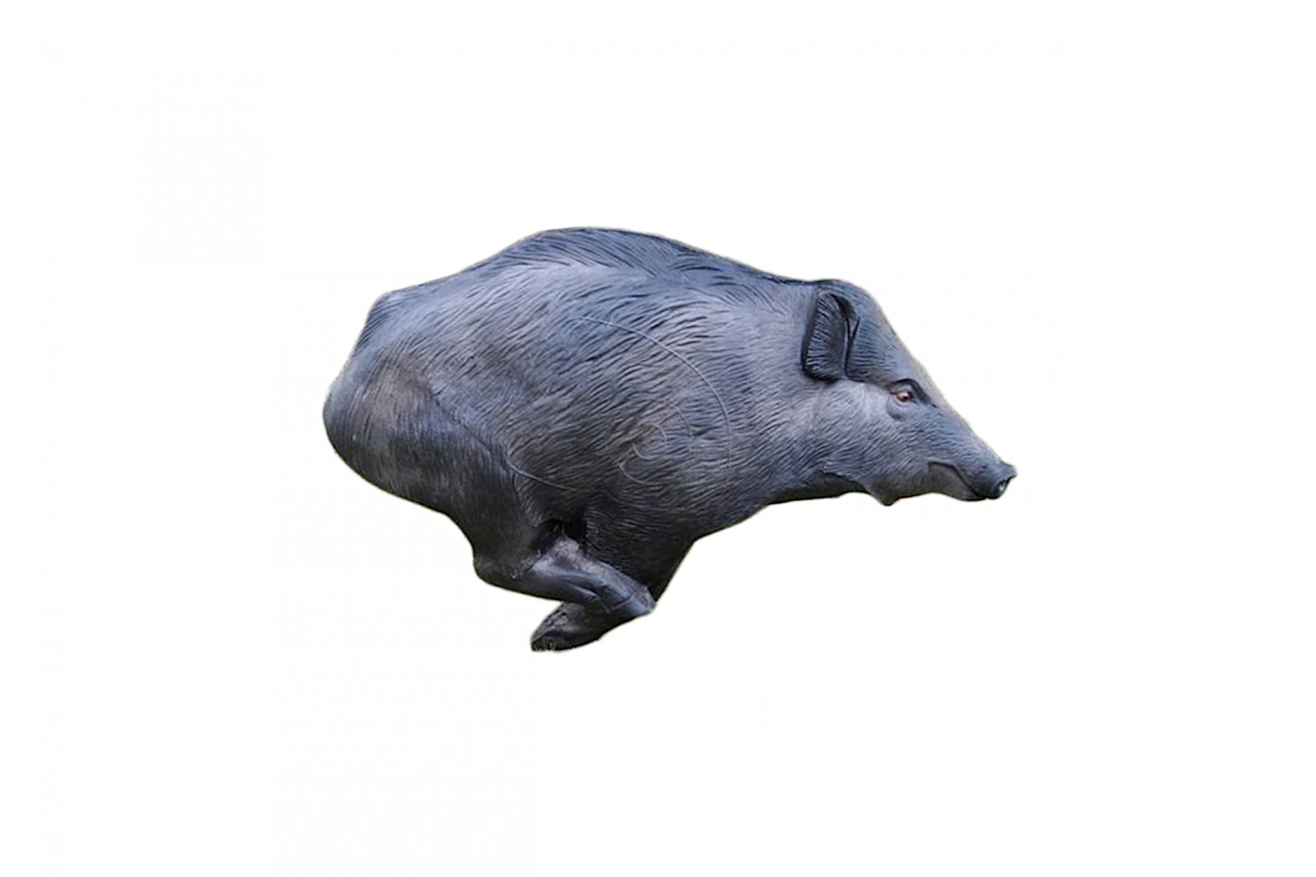 Poľovníctvo a lov